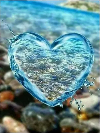 Quel animal préfères-tu ?