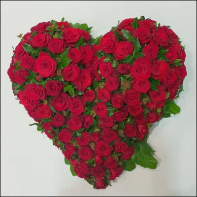 Quelle image préfères-tu ?