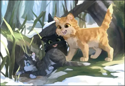 Quel apprenti préfères-tu ?