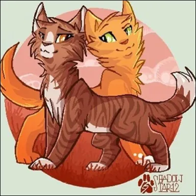 Quelle est ta couleur préférée ?