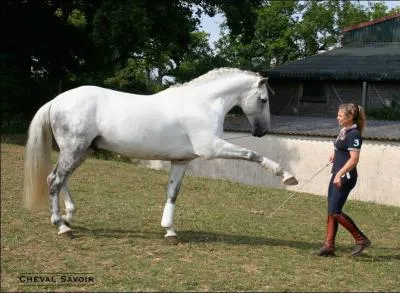 Comment se nomme cette figure ?