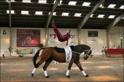 Comment se nomme cette discipline ?