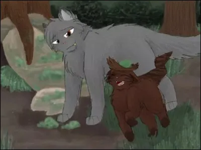 Vous êtes nommés apprentis, quel mentor veux-tu ?