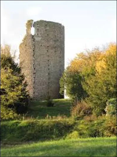 Je vous attends devant le donjon du château de Fréteval. Commune de l'aire d'attraction Vendômoise, sur les bords du Loir, elle se situe dans le département ...