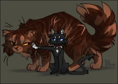 Aimes tu La Guerre des Clans ?