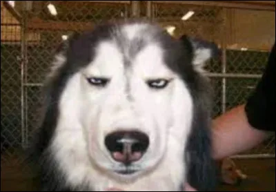 Es tu du genre a toujours rêvasser ?