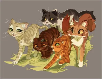 Aimes tu les chats ?