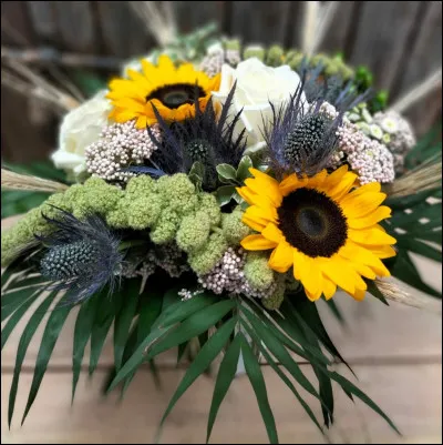 Quelle est ta fleur préférée parmi celles-là ?