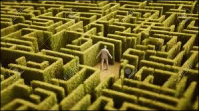 Il ... sans trouver la sortie