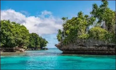 Laquelle de ces "Guinée" ne se situe pas sur le continent africain ?