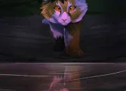 Quiz LGDC ~ Ombre d'rable