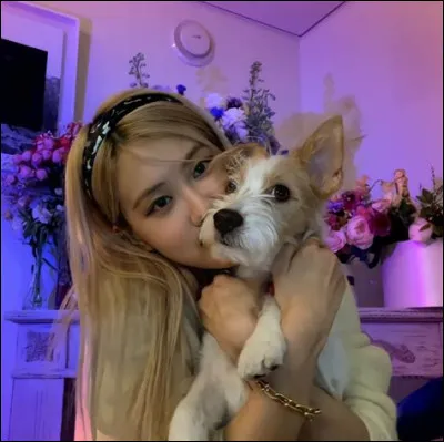 Comment s'appelle le chien de Rosé ?