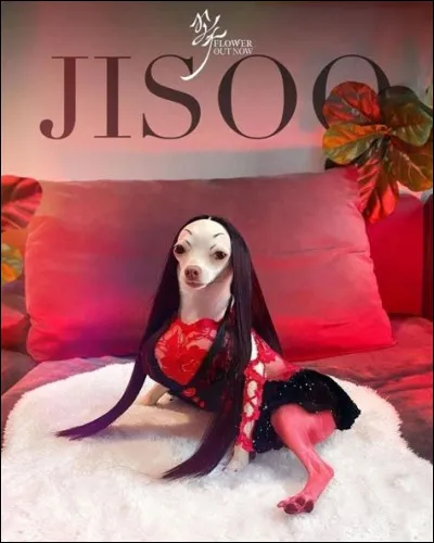 Comment s'appellent les chiens de Jisoo ?