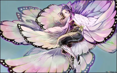 Comment sappelle la technique de respiration de Shinobu ?