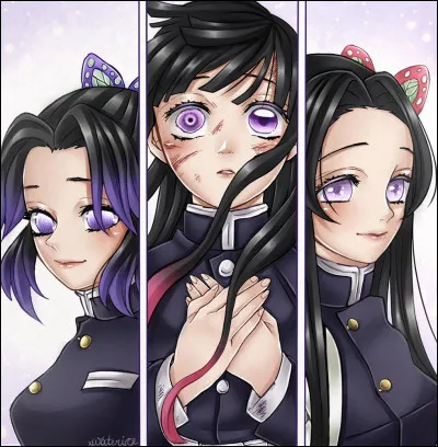 Quelle tragédie a frappé la sur aînée de Shinobu, Kanae Kocho, et comment cela a-t-il influencé Shinobu ?