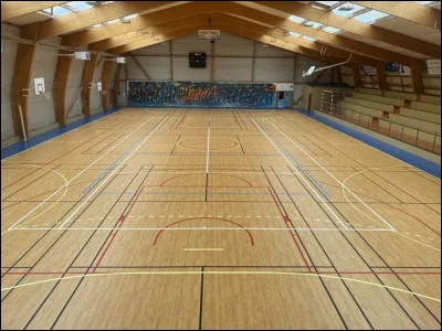 Que te dis-tu quand tu dois faire ton cours d'éducation physique ?