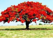 Quiz Le bon titre (95)