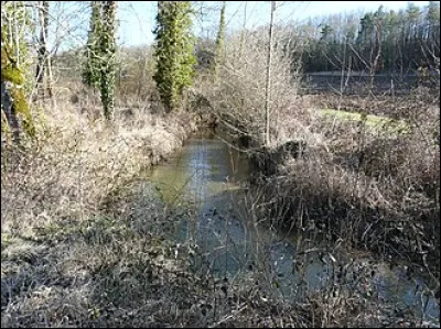 Lequel de ces livres de Daniel Picouly est sorti en 2004 ?