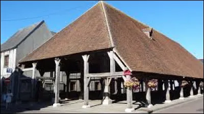 Dans quel département iriez vous pour visiter la petite ville de Lorris, connue par la charte du roi Louis VI en 1134 ?