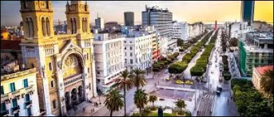 Dans quel pays se situe la ville de Tunis ?