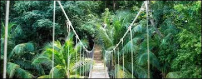 Lequel de ces pays est situé en Amérique centrale ?