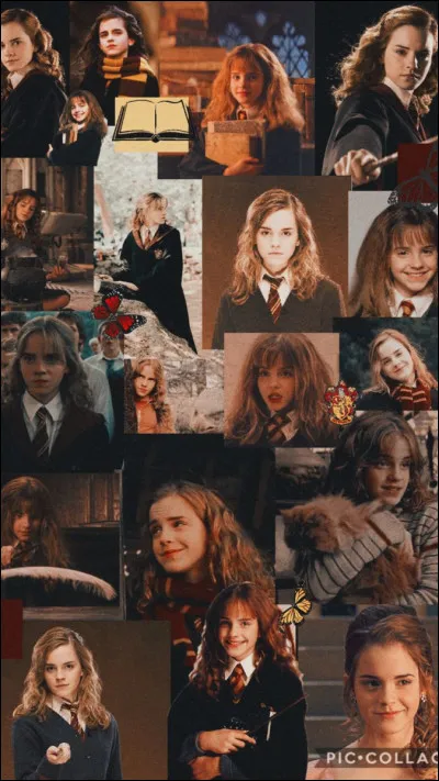 Quel est le métier d'Hermione ?