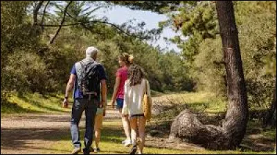 Ils vont revenir : ils sont partis en ...