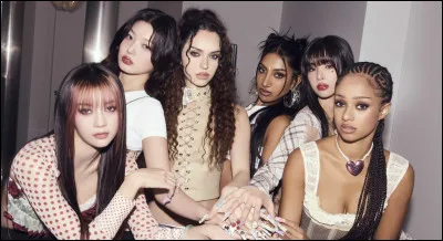 Dans un groupe de K-pop, tu préfères :