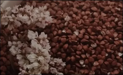 Le sarrasin ou blé noir doit son nom à la couleur :