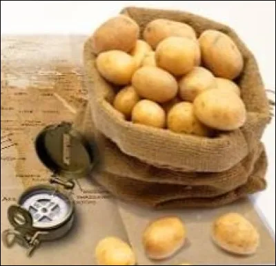 De quel pays la pomme de terre a-t-elle été rapportée en Europe au XVIe siècle ?