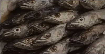 Quel est l'autre nom du cabillaud ?