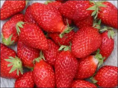 Laquelle de ces variétés de fraises est la plus courante en France ?