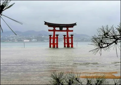 Parmi ces plats, lequel est typique du Japon ?