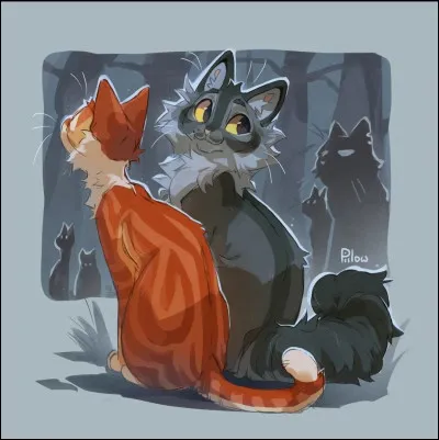 Tu es une chatonne et tu as une sur.
Quelle relation as-tu avec elle ?