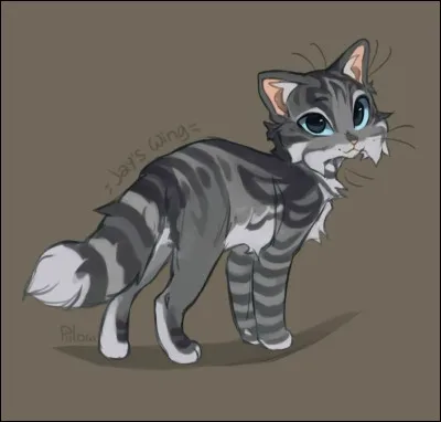 Avec ta sur, vous décidez d'aller visitez le camp : où préfères-tu aller ?