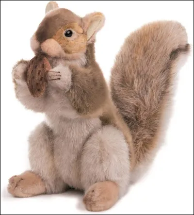 Il décide de t'apprendre à chasser ; tu attrapes une proie, c'est :