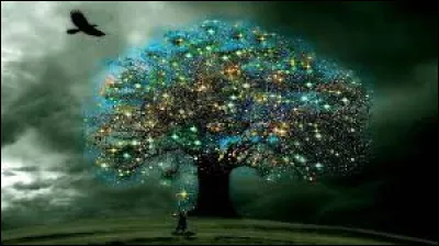 Que porte l'arbre de la connaissance du bien et du mal dans la "Bible" ?