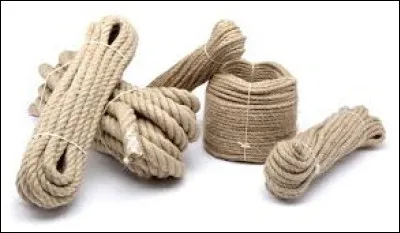 En Provence, les Cisterciens fondent trois abbayes, "les trois surs provençales" : le Thoronet, à quelques kilomètres du Luc, Silvacane à la Roque d'Anthéron et quelle est la troisième ?