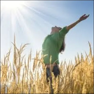 "Libre" : Qui l'a chanté ?