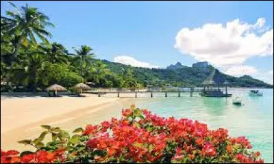 "Tahiti" : Qui l'a chanté ?