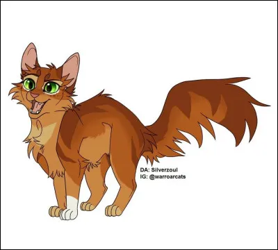 Tu pr&eacute;f&egrave;res :