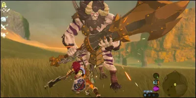 Combien existe-t-il de Lynels diff&eacute;rents ?