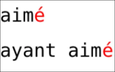 Le participe : Quel est ce temps ?