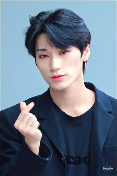 Quelles langues sait-il parler ?