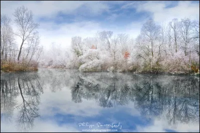 Si tu as répondu paysage, que veux-tu ?