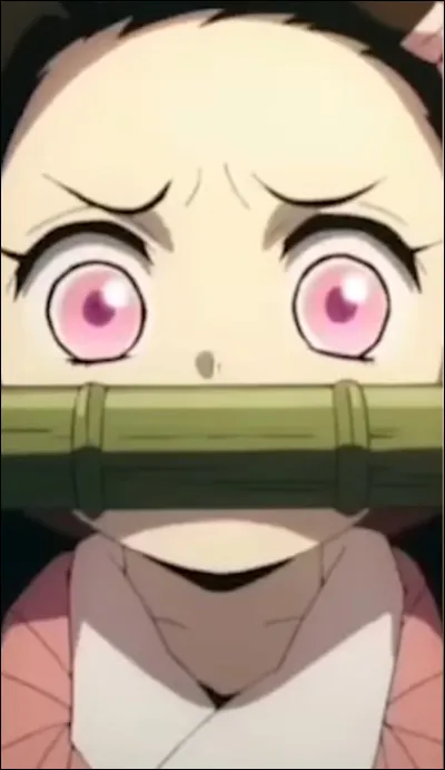 Quelles chaussures tattirent le plus ?