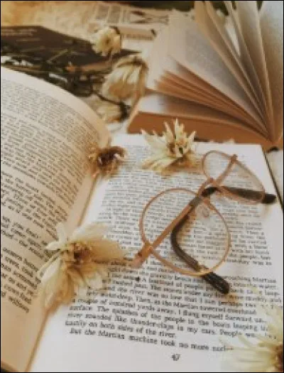 Préfères-tu les livres épicés ou les livres fantastiques ?