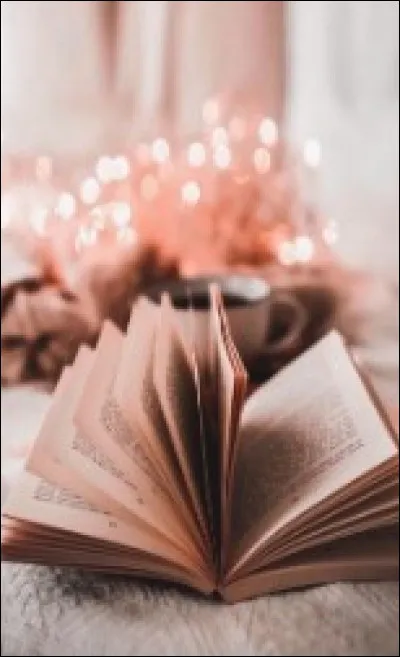 Préfères-tu les livres assez gros ou petits ?