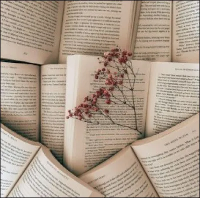 Quelle couleur préfères-tu ?