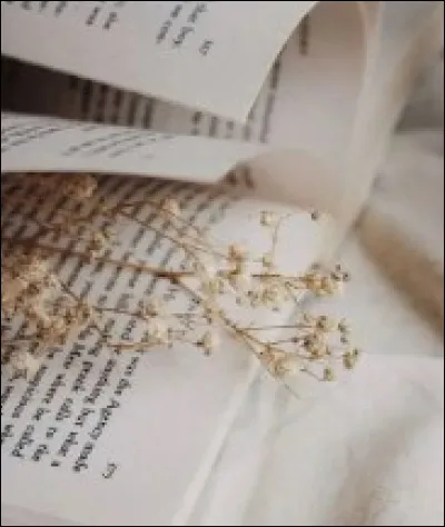 Quel est ton moment de la journée préféré ?